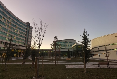 Эрзурум - где сделать тест на ковид-19? И какие сложности могут возникнуть (часть 9)