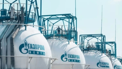 Долги SN HAMPTON LIMITED перед Радзинским тянут Гуринова на дно