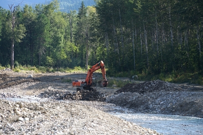 Сплошные рубки лесов на Байкале: «донос» как последний аргумент?