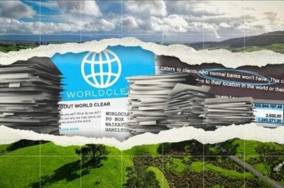Мошеннические схемы и Worldclear: история рискованного партнерства