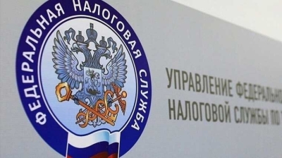 Народ в Тамбове гнилой и хмурый, - глава УФНС